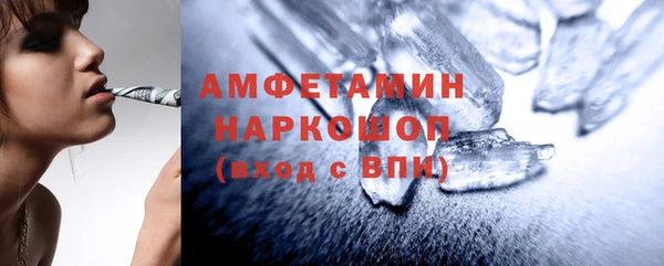 ECSTASY Богданович