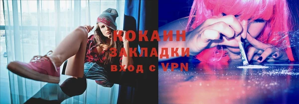 шишки Белокуриха