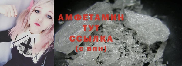 индика Богородск