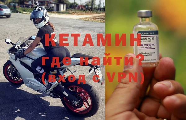 шишки Белокуриха