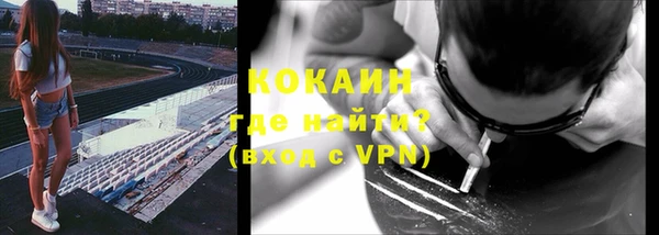 шишки Белокуриха