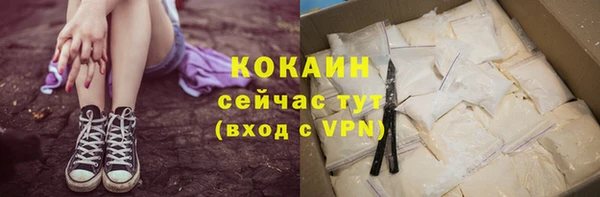 шишки Белокуриха