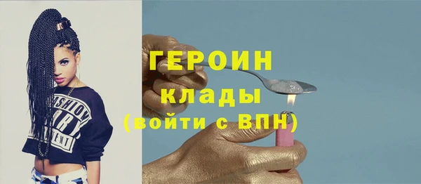 индика Богородск
