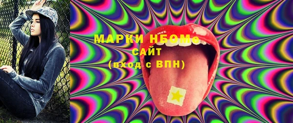 шишки Белокуриха