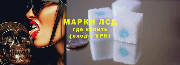 индика Богородск