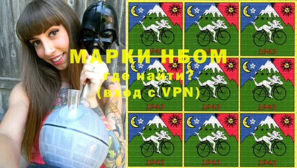 шишки Белокуриха