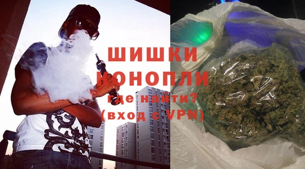 индика Богородск
