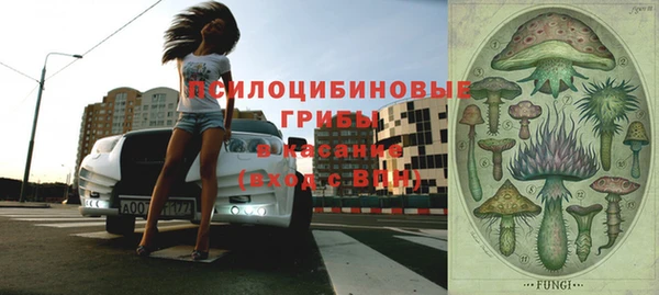 индика Богородск