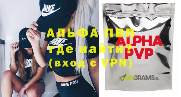 индика Богородск