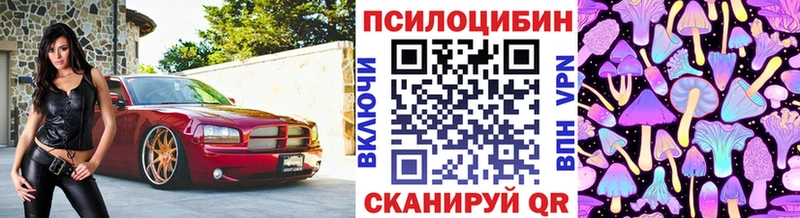 Псилоцибиновые грибы Magic Shrooms  Енисейск 